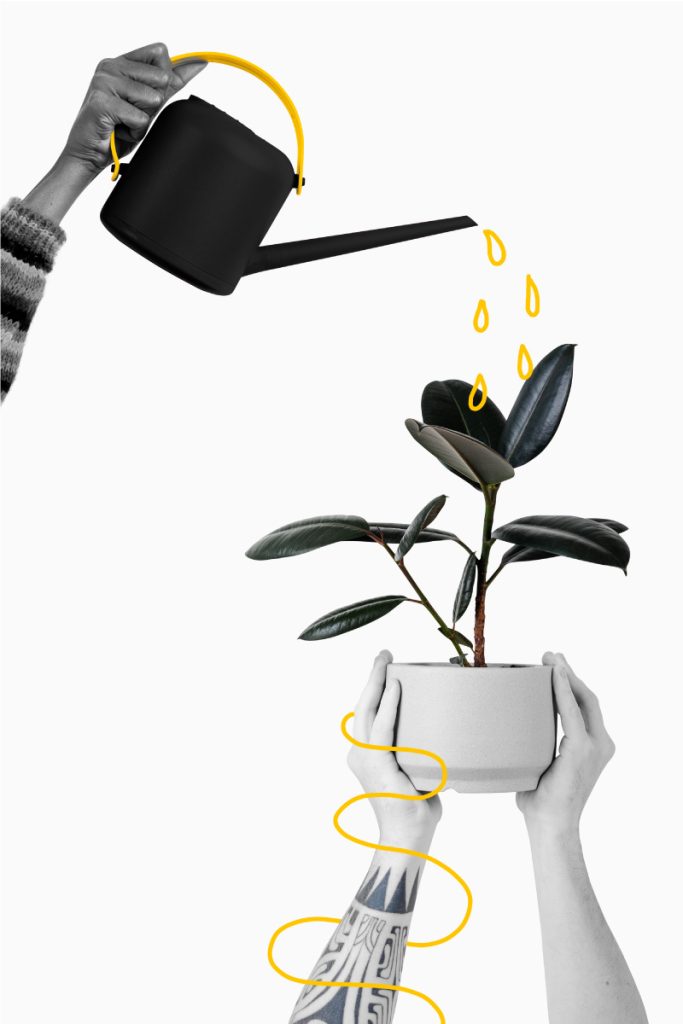 Agencia Digital